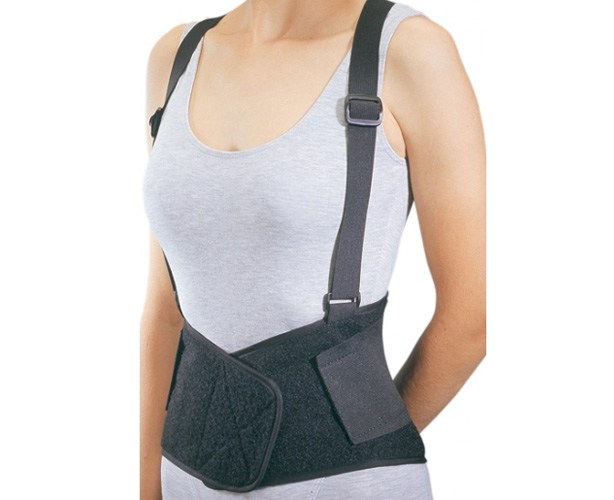 Industrial Back Support with Suspenders