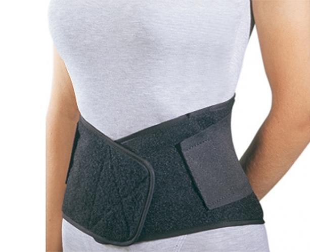 Procare Industrial Back Support